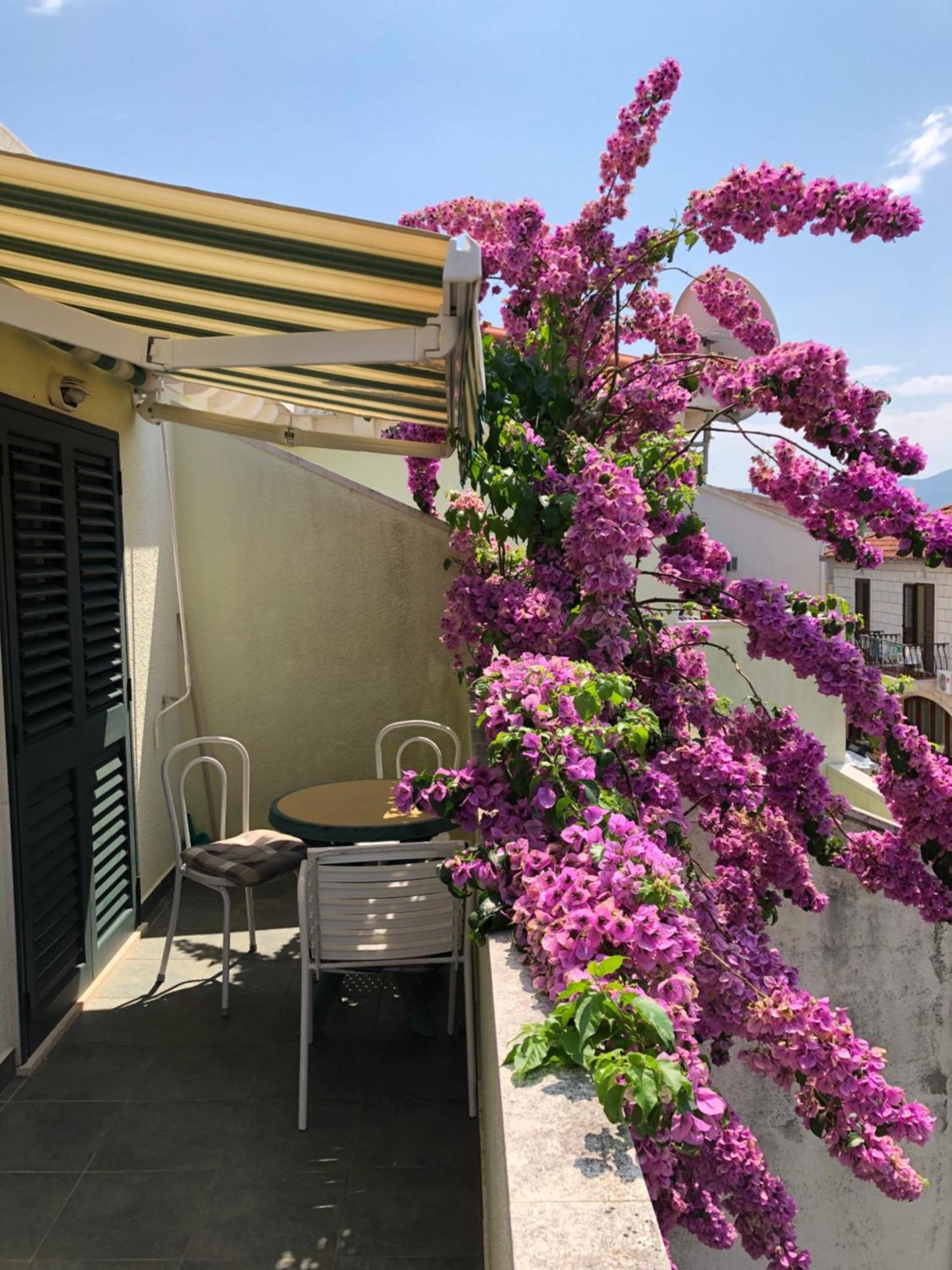 Villa Marijana Sreser Δωμάτιο φωτογραφία